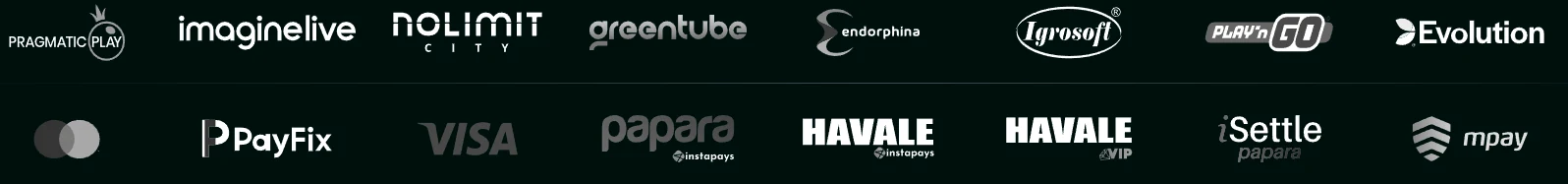 Payment methods and partners supported at Pinco Casino